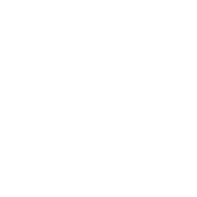 阿里山嵐霧之息禮盒2入組 圖片